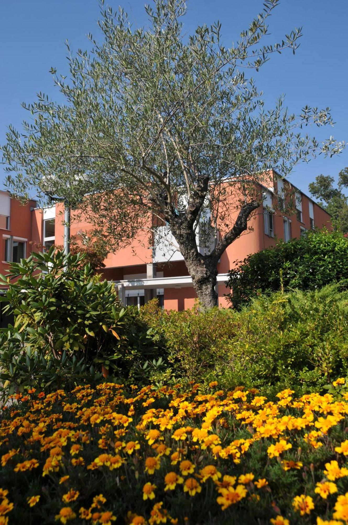 Centro Magliaso Hotel Bagian luar foto
